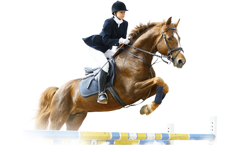 jumping horse